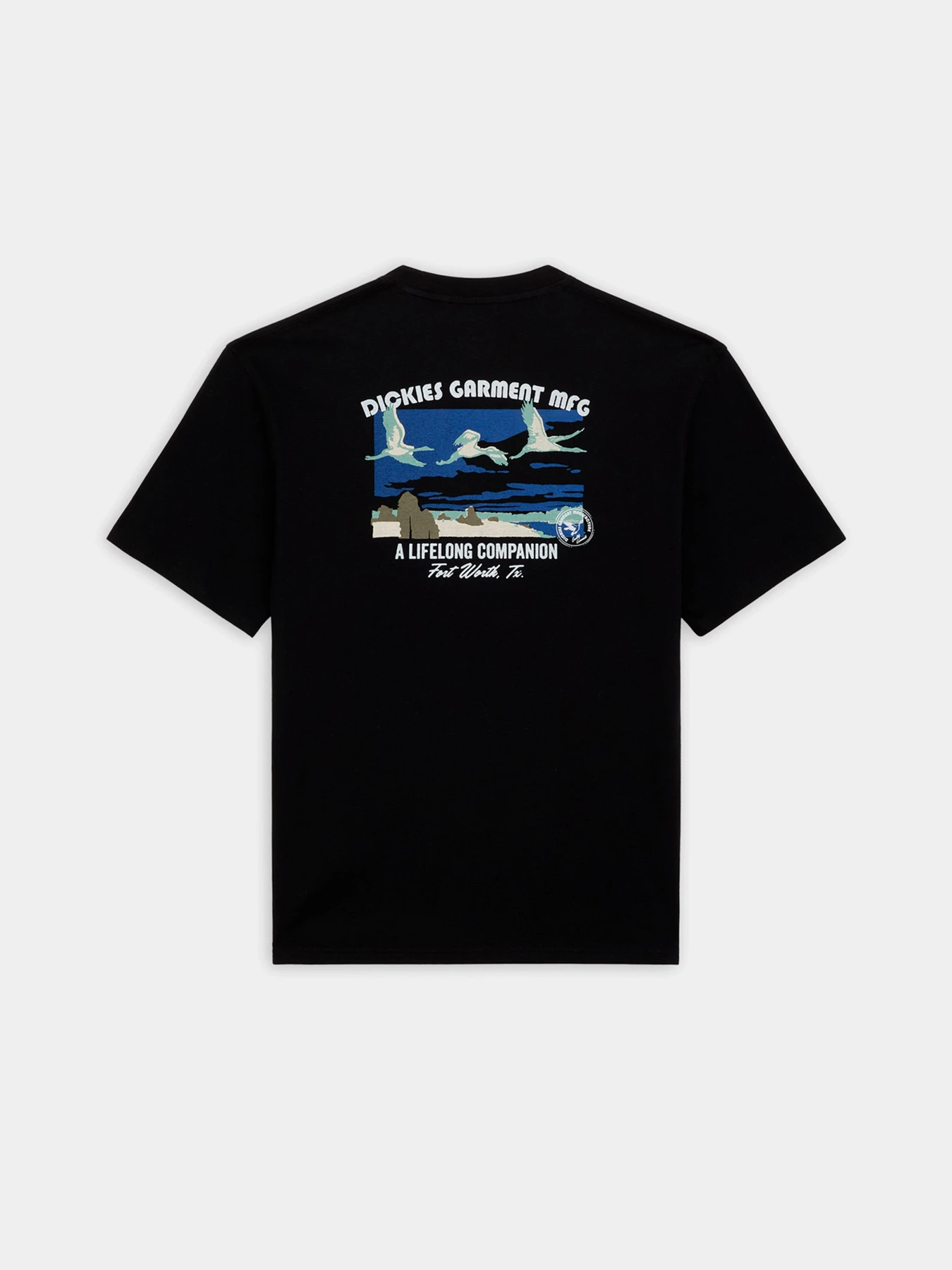 Футболки і поло Dickies Companion модель DK0A4Z3PBLK1 Футболки і поло Dickies Companion модель DK0A4Z3PBLK1 Фото