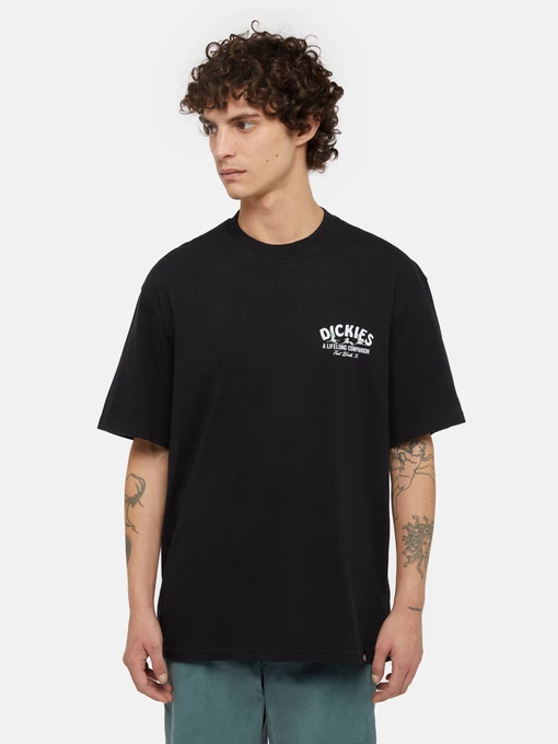 Футболки і поло Dickies Companion модель DK0A4Z3PBLK1 Фото