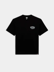 Футболки і поло Dickies Companion модель DK0A4Z3PBLK1 Фото