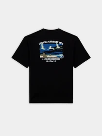 Футболки і поло Dickies Companion модель DK0A4Z3PBLK1 Фото