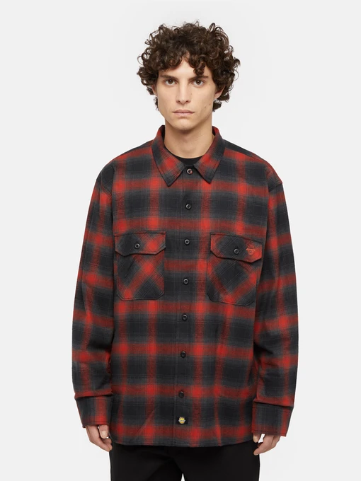 Рубашки Dickies x Spitfire Flannel модель DK0A865NJ571 Фото