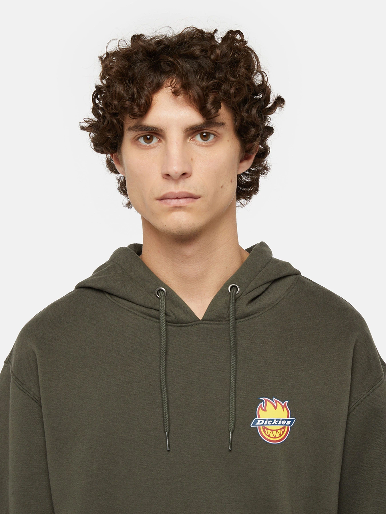 Худи и свитшоты Dickies x Spitfire модель DK0A865O0OG1 Худи и свитшоты Dickies x Spitfire модель DK0A865O0OG1 Фото