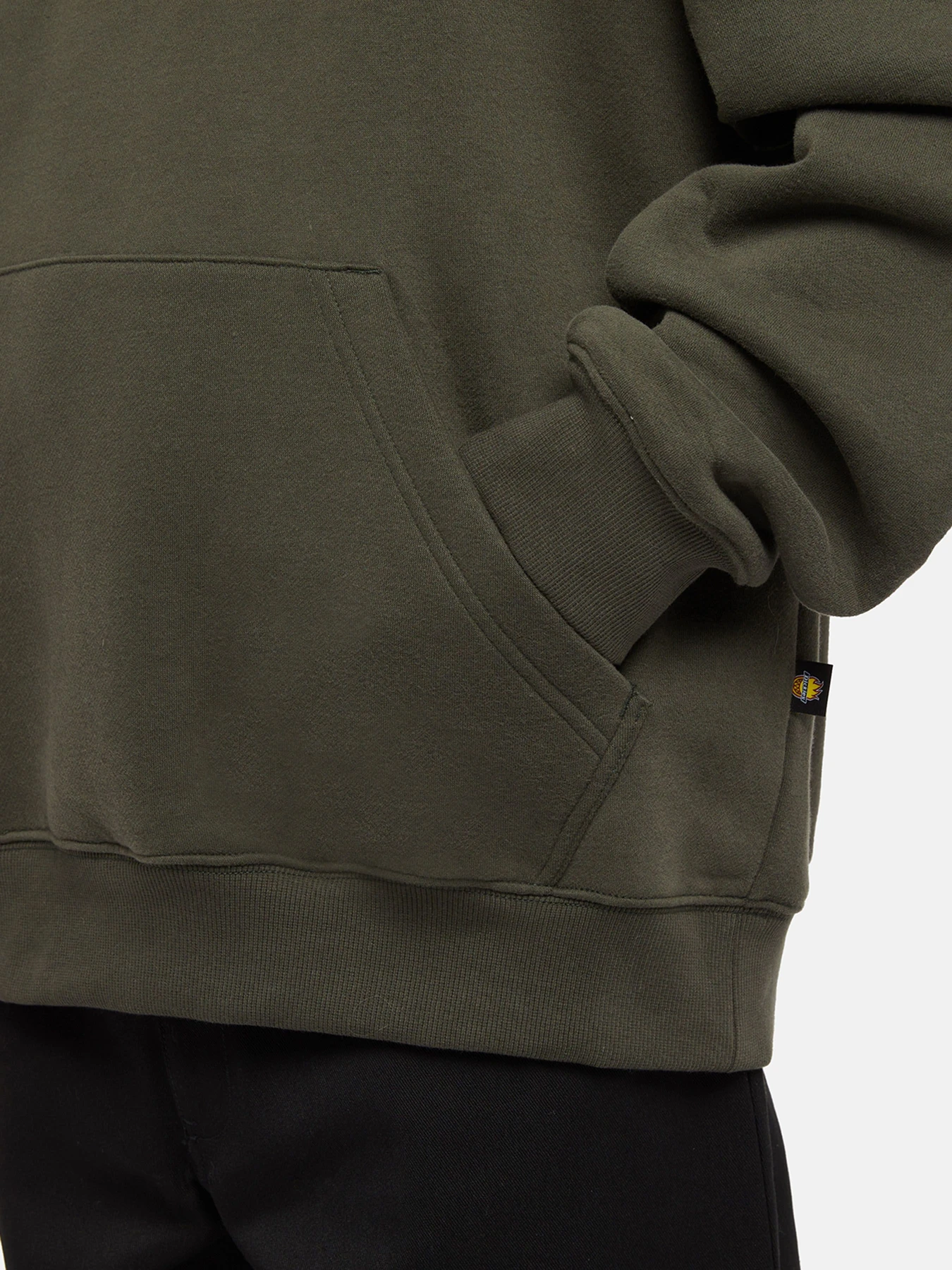 Худи и свитшоты Dickies x Spitfire модель DK0A865O0OG1 Худи и свитшоты Dickies x Spitfire модель DK0A865O0OG1 Фото