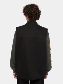 Светри та кардигани Dickies x Spitfire модель DK0A865PBLK1 Фото