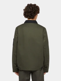 Куртки и дубленки Dickies x Spitfire модель DK0A865Q0OG1 Фото