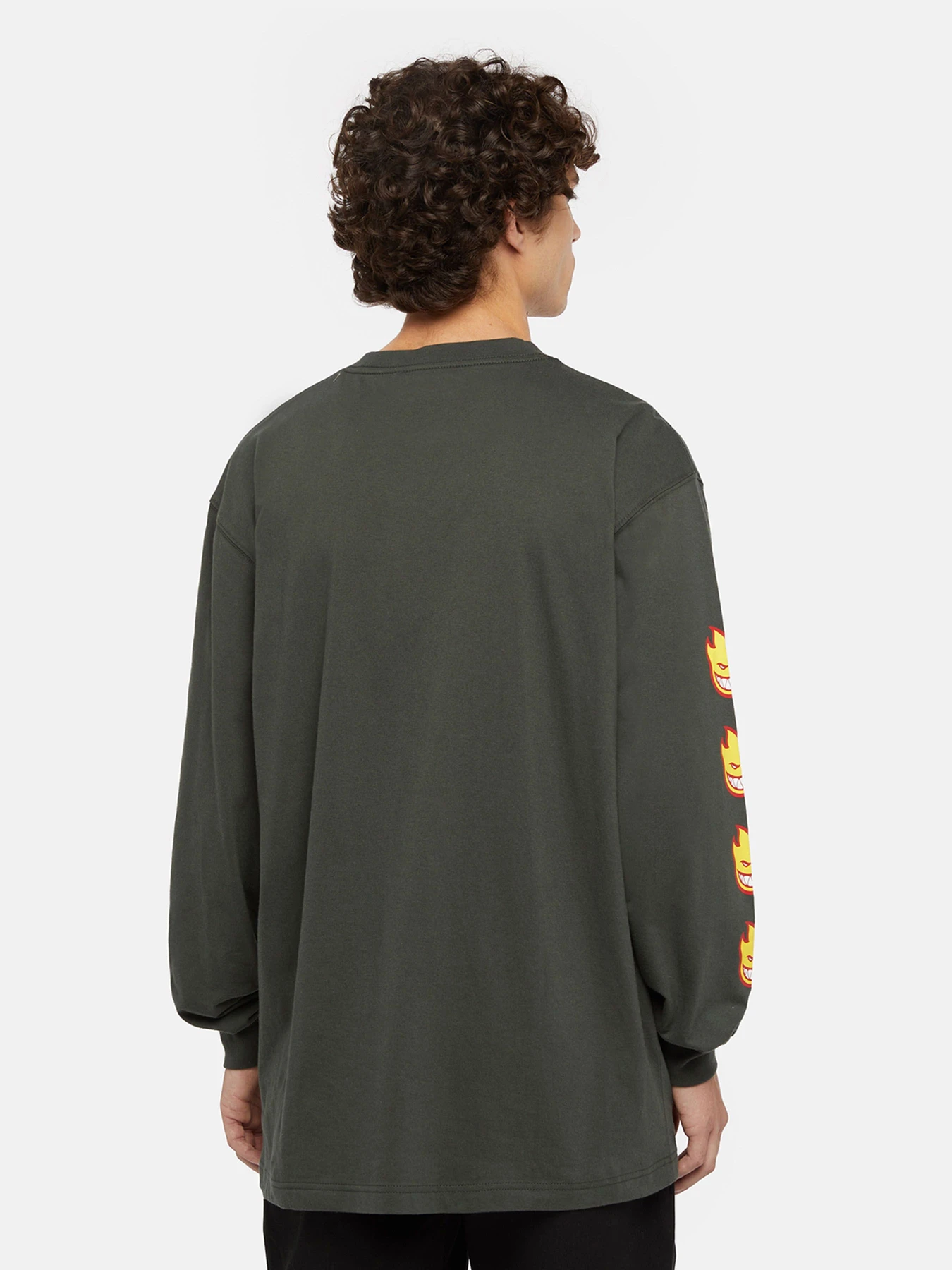 Худи и свитшоты Dickies x Spitfire модель DK0A86640OG1 Фото