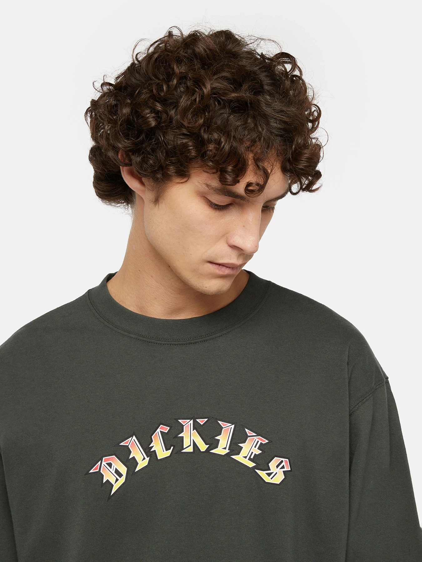 Худи и свитшоты Dickies x Spitfire модель DK0A86640OG1 Фото