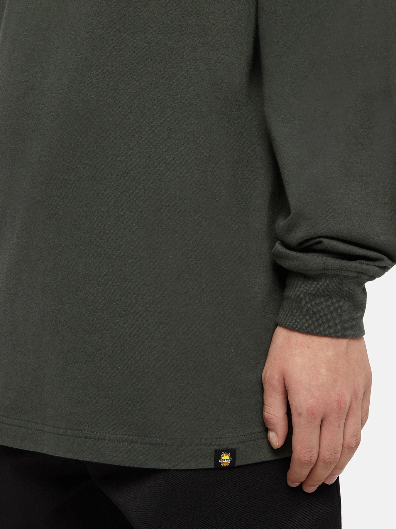 Худи и свитшоты Dickies x Spitfire модель DK0A86640OG1 Фото