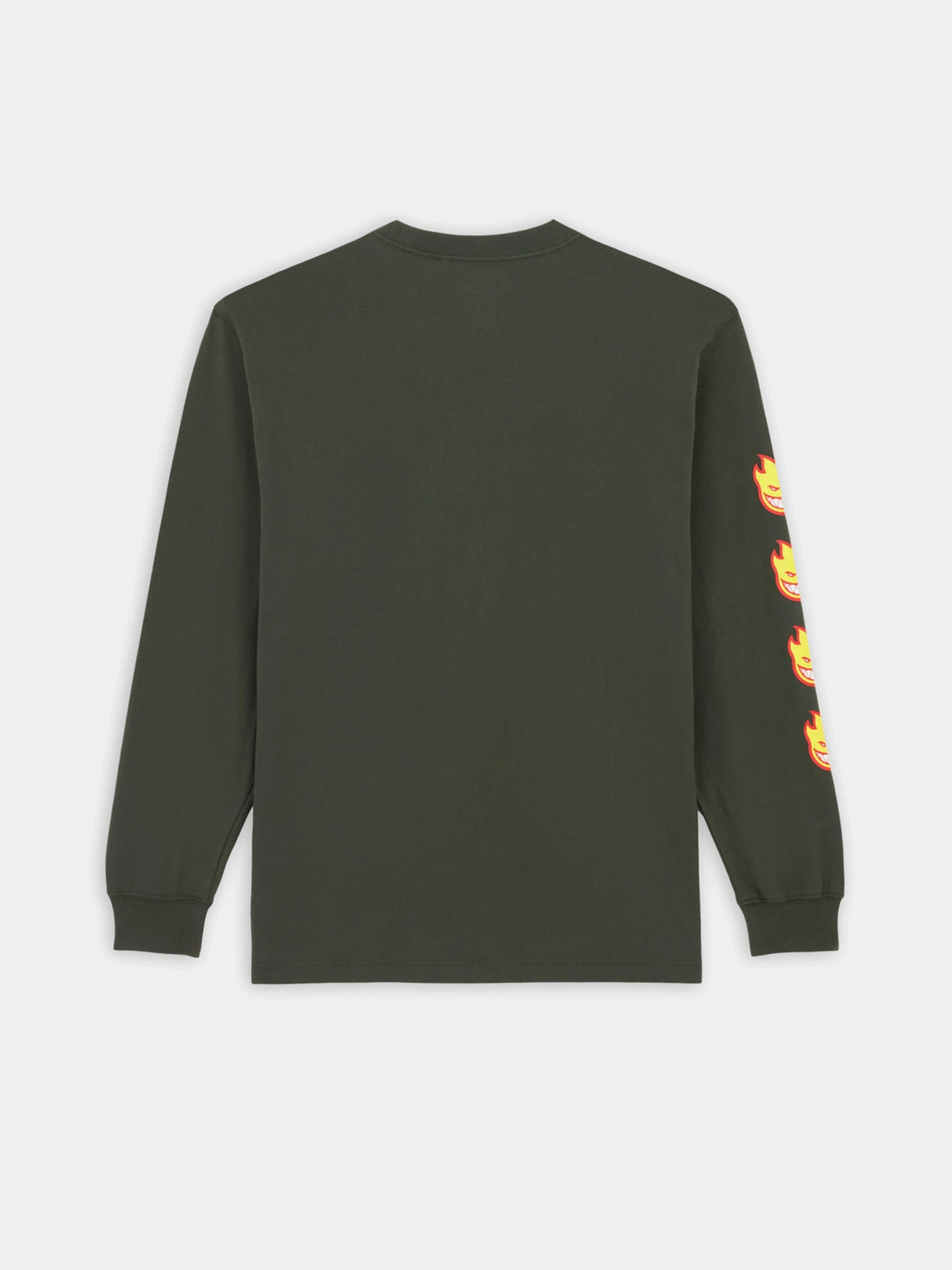 Худи и свитшоты Dickies x Spitfire модель DK0A86640OG1 Фото