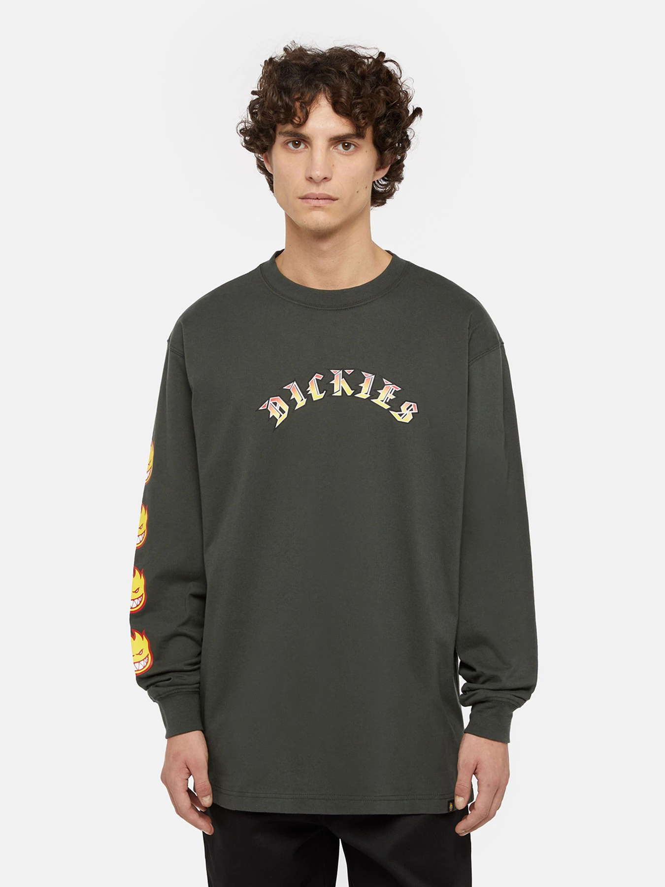 Худи и свитшоты Dickies x Spitfire модель DK0A86640OG1 Фото