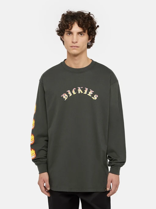 Худі та світшоти Dickies x Spitfire модель DK0A86640OG1 Фото