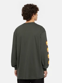 Худи и свитшоты Dickies x Spitfire модель DK0A86640OG1 Фото