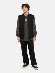 Худи и свитшоты Dickies x Spitfire модель DK0A86640OG1 Фото