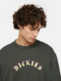 Худи и свитшоты Dickies x Spitfire модель DK0A86640OG1 Фото