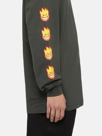 Худи и свитшоты Dickies x Spitfire модель DK0A86640OG1 Фото