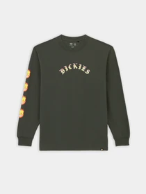 Худи и свитшоты Dickies x Spitfire модель DK0A86640OG1 Фото