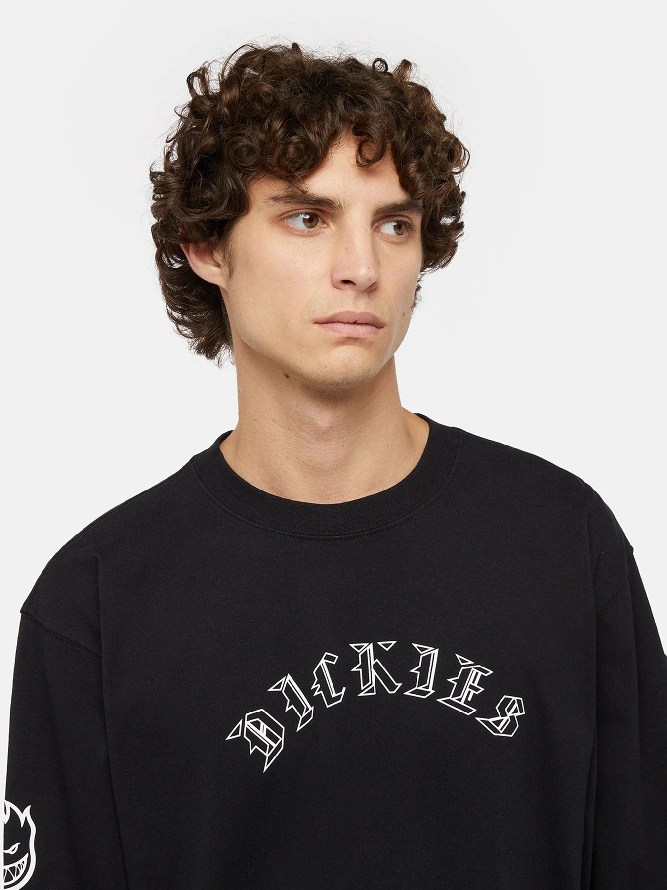 Худі та світшоти Dickies x Spitfire модель DK0A8664BLK1 Фото