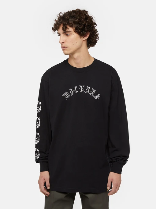 Худі та світшоти Dickies x Spitfire модель DK0A8664BLK1 Фото