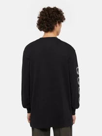 Худі та світшоти Dickies x Spitfire модель DK0A8664BLK1 Фото