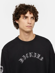 Худі та світшоти Dickies x Spitfire модель DK0A8664BLK1 Фото