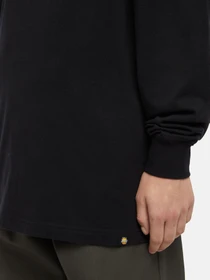 Худі та світшоти Dickies x Spitfire модель DK0A8664BLK1 Фото