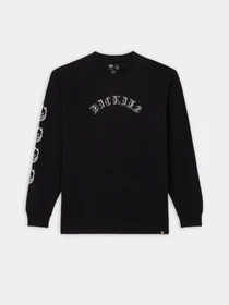 Худі та світшоти Dickies x Spitfire модель DK0A8664BLK1 Фото