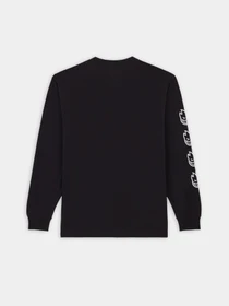 Худі та світшоти Dickies x Spitfire модель DK0A8664BLK1 Фото