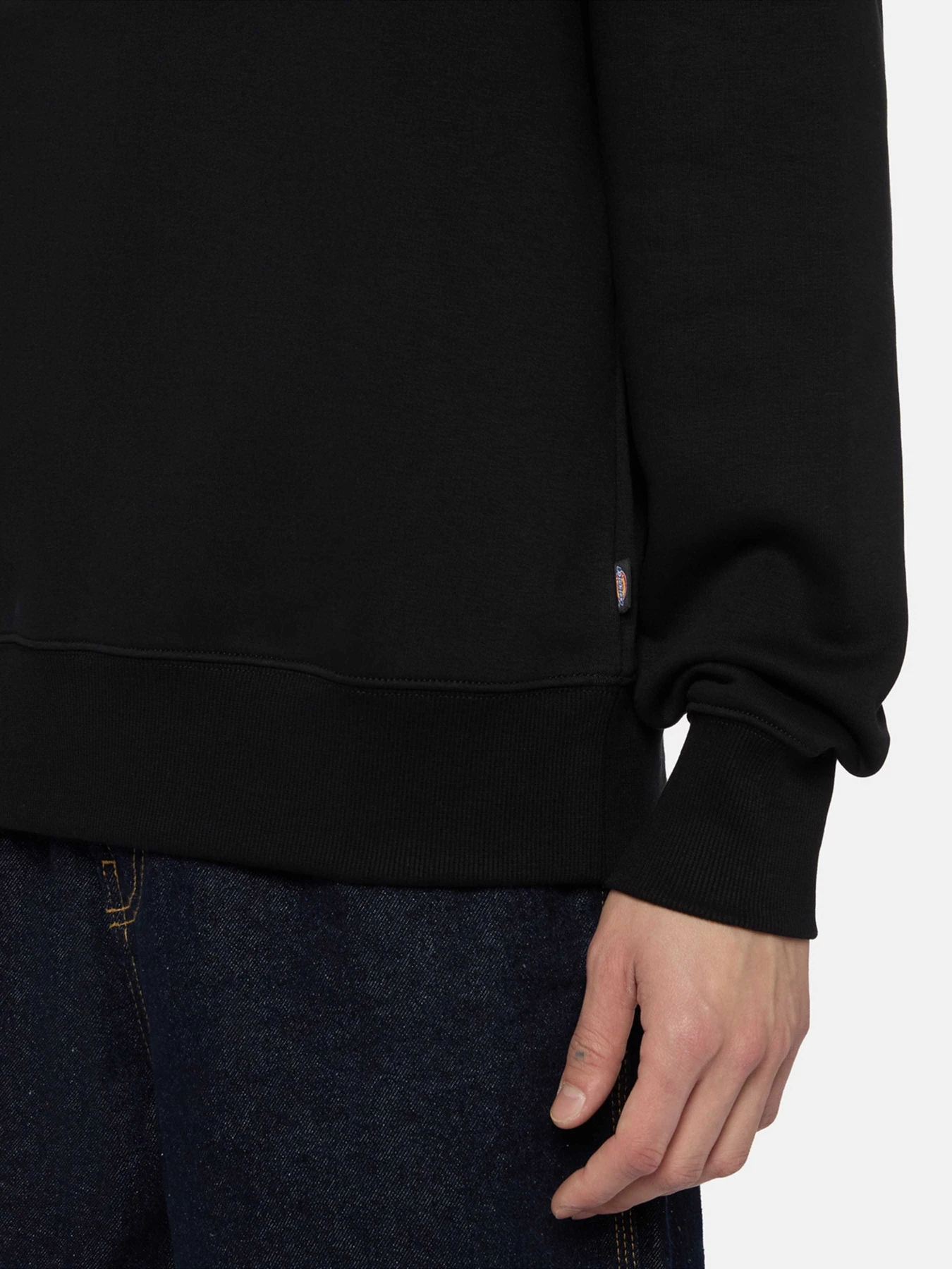 Худі та світшоти Dickies Summerdale модель DK0A4Y6QBLK1 Худі та світшоти Dickies Summerdale модель DK0A4Y6QBLK1 Фото