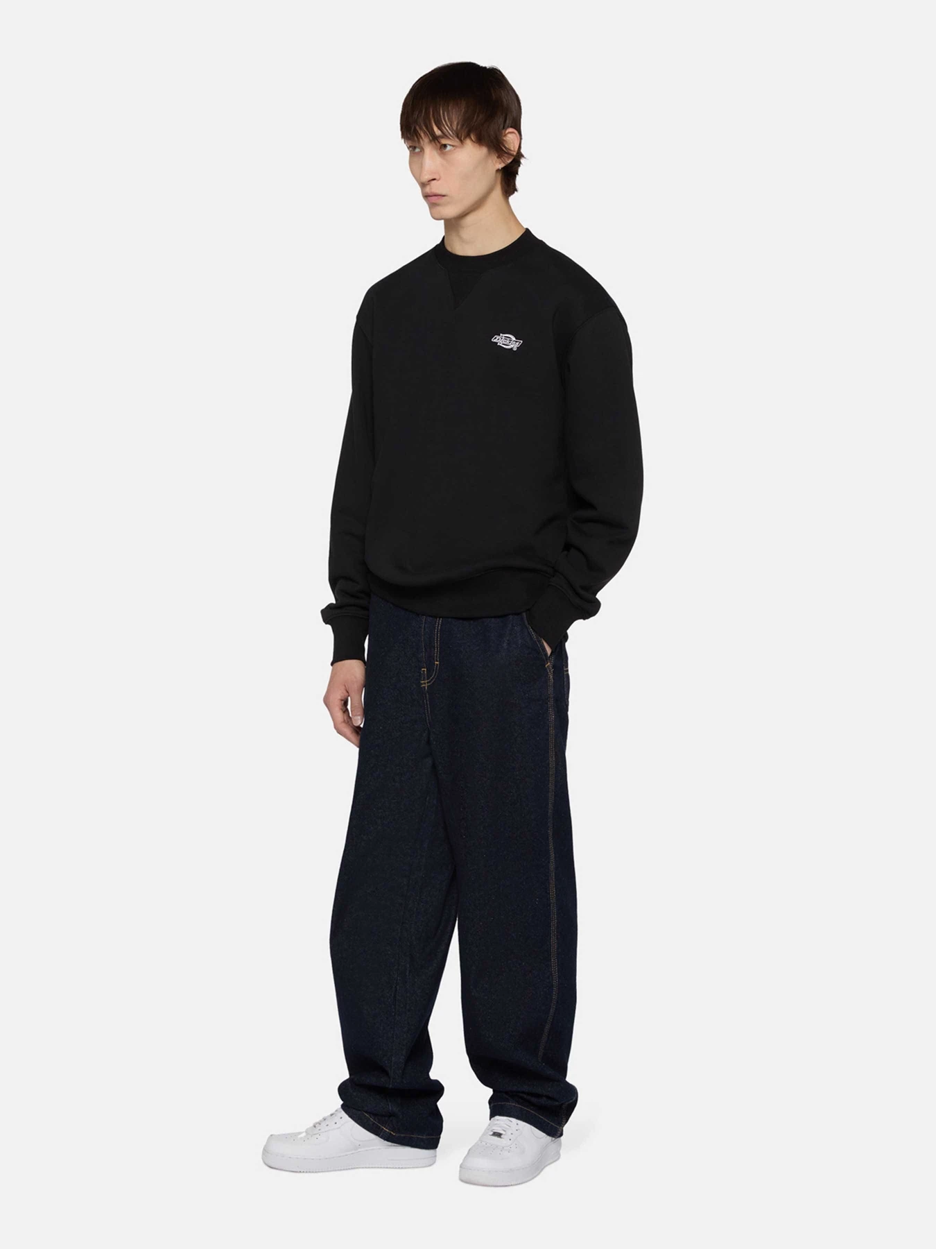 Худі та світшоти Dickies Summerdale модель DK0A4Y6QBLK1 Худі та світшоти Dickies Summerdale модель DK0A4Y6QBLK1 Фото