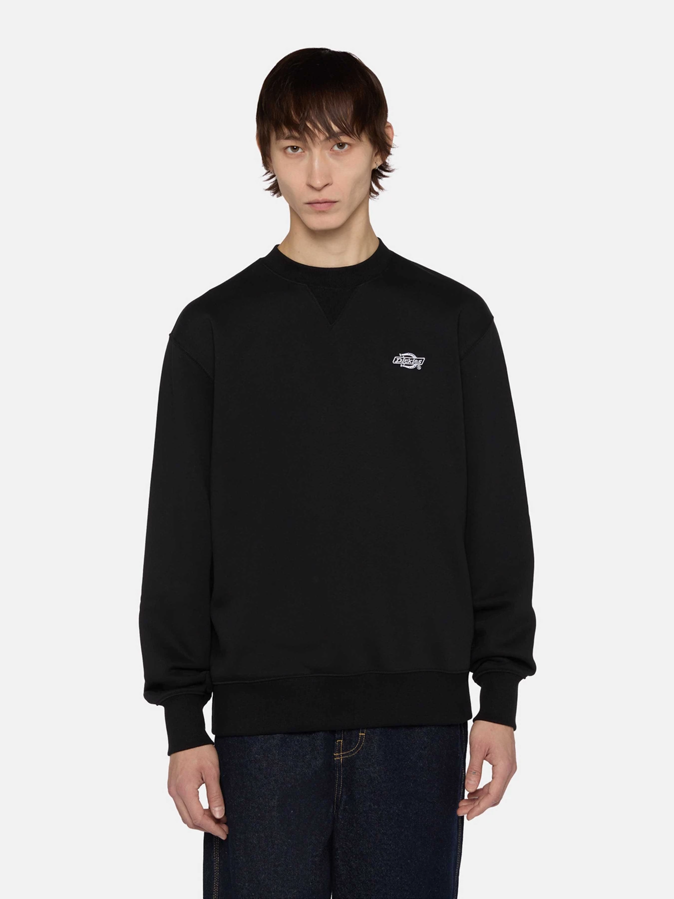 Худі та світшоти Dickies Summerdale модель DK0A4Y6QBLK1 Худі та світшоти Dickies Summerdale модель DK0A4Y6QBLK1 Фото