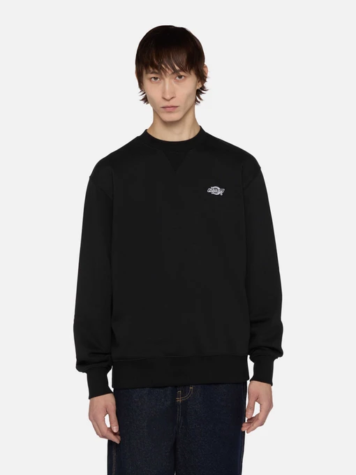 Худи и свитшоты Dickies Summerdale модель DK0A4Y6QBLK1 Фото
