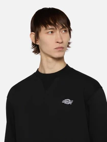 Худі та світшоти Dickies Summerdale модель DK0A4Y6QBLK1 Фото