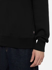 Худі та світшоти Dickies Summerdale модель DK0A4Y6QBLK1 Фото