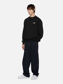 Худі та світшоти Dickies Summerdale модель DK0A4Y6QBLK1 Фото