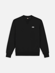 Худі та світшоти Dickies Summerdale модель DK0A4Y6QBLK1 Фото