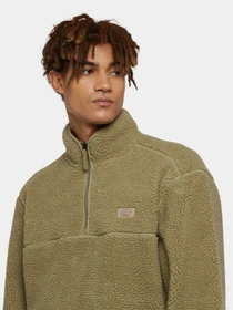 Худі та світшоти Dickies Mount Hope Quarter Zip модель DK0A4YEF0IP1 Фото