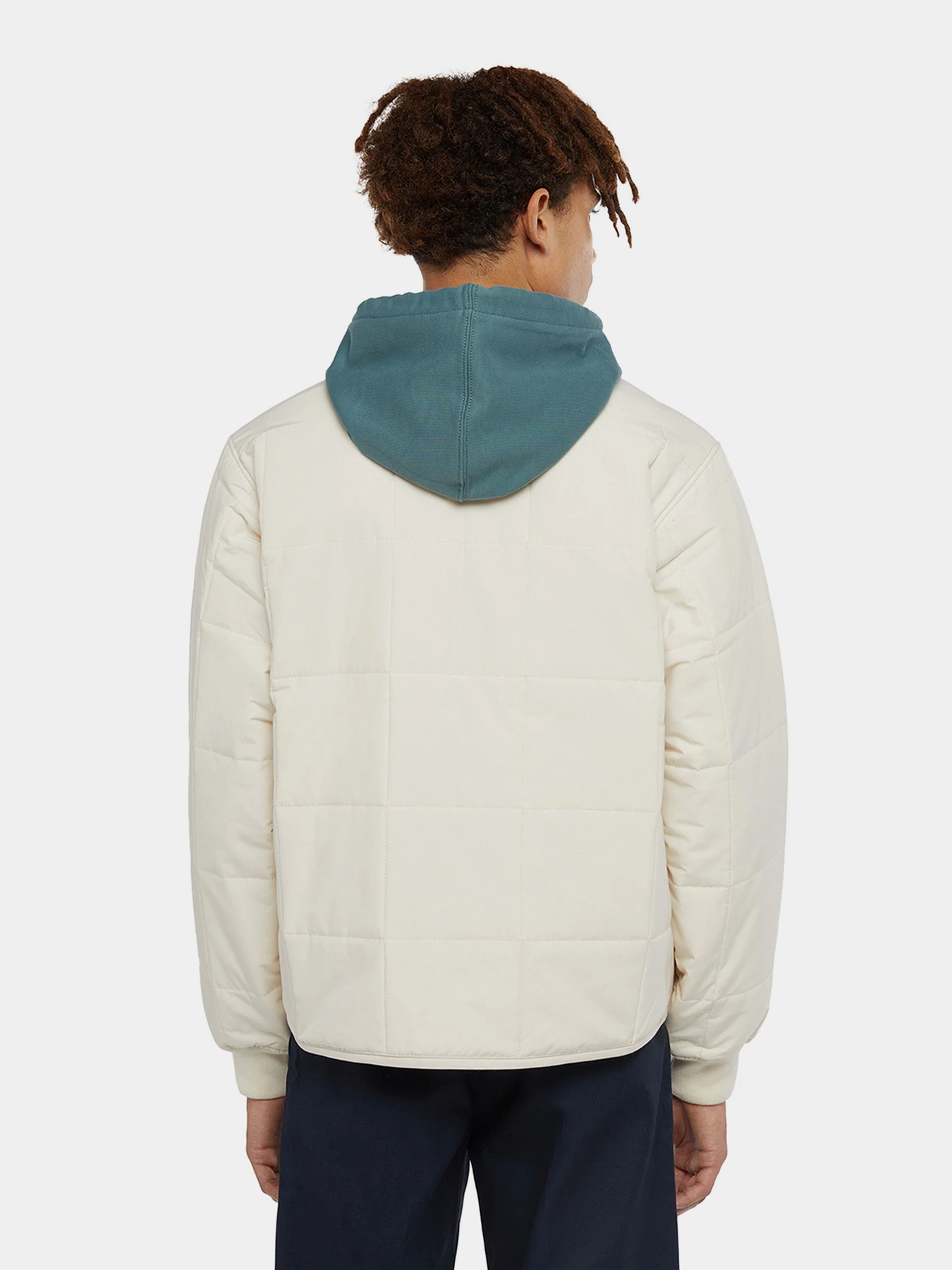 Куртки и дубленки Dickies Gardiner Liner модель DK0A4Z35F901 Куртки и дубленки Dickies Gardiner Liner модель DK0A4Z35F901 Фото