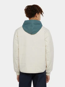 Куртки и дубленки Dickies Gardiner Liner модель DK0A4Z35F901 Фото