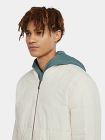 Куртки и дубленки Dickies Gardiner Liner модель DK0A4Z35F901 Фото