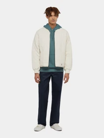 Куртки и дубленки Dickies Gardiner Liner модель DK0A4Z35F901 Фото