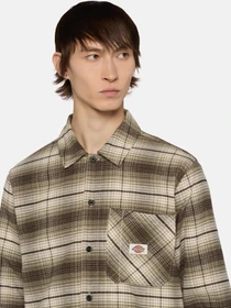 Рубашки Dickies Forest Check модель DK0A86530IP1 Фото