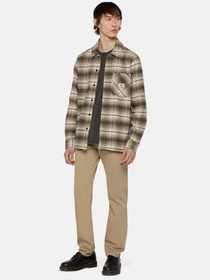 Рубашки Dickies Forest Check модель DK0A86530IP1 Фото