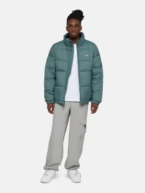 Куртки и дубленки Dickies Waldenburg модель DK0A4XP20LN1 Фото