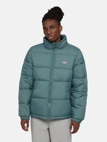 Куртки и дубленки Dickies Waldenburg модель DK0A4XP20LN1 Фото