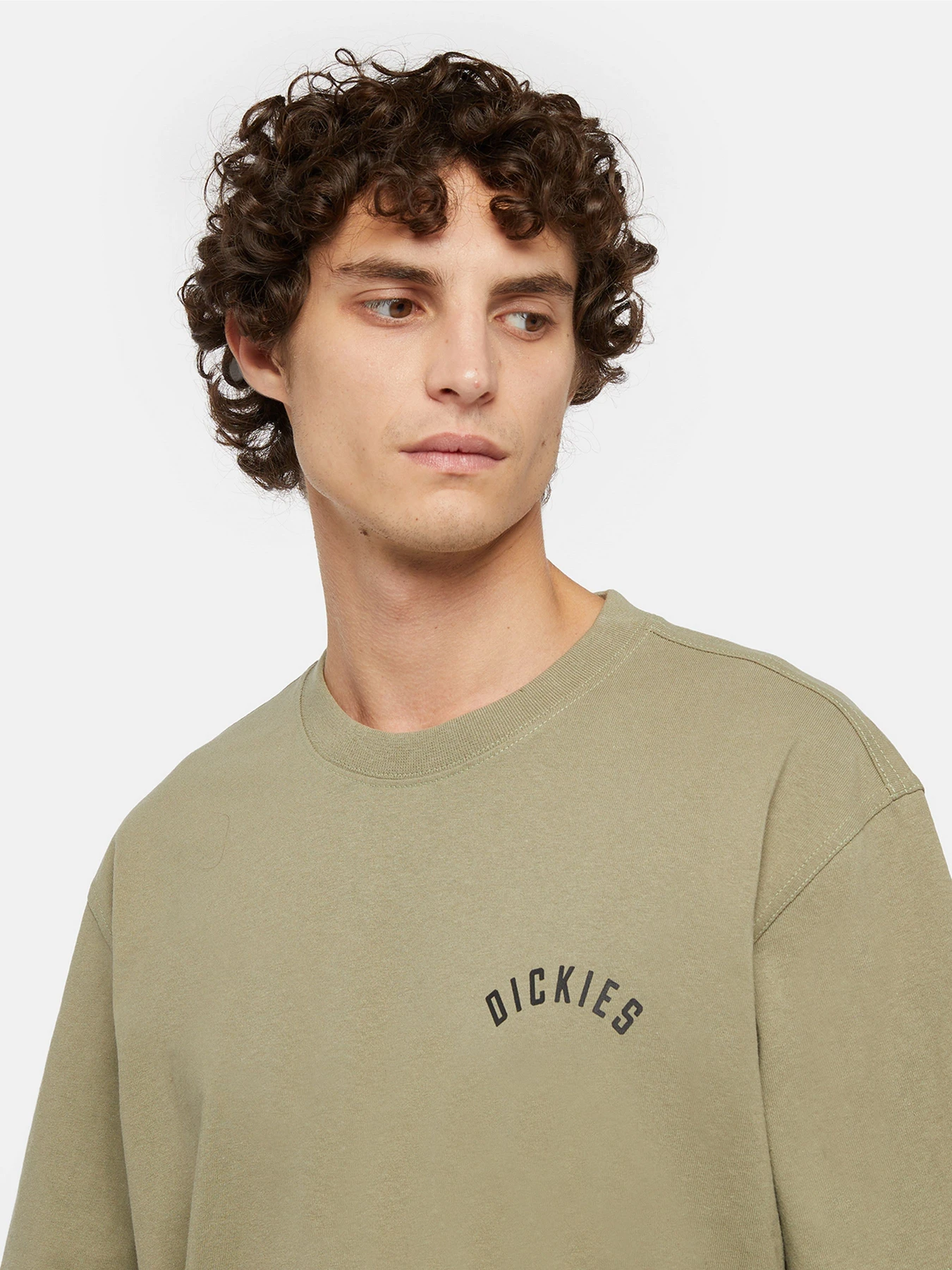 Футболки і поло Dickies Panther модель DK0A4Z4I0IP1 Футболки і поло Dickies Panther модель DK0A4Z4I0IP1 Фото