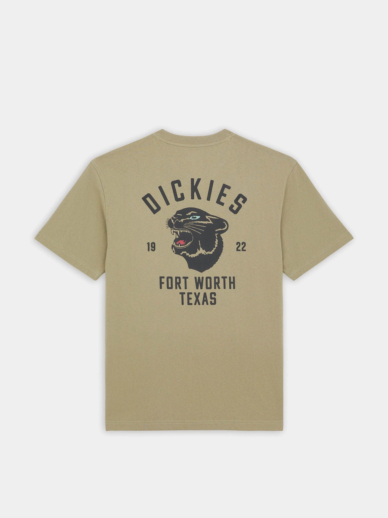 Футболки і поло Dickies Panther модель DK0A4Z4I0IP1 Футболки і поло Dickies Panther модель DK0A4Z4I0IP1 Фото