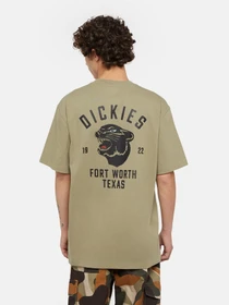Футболки і поло Dickies Panther модель DK0A4Z4I0IP1 Фото