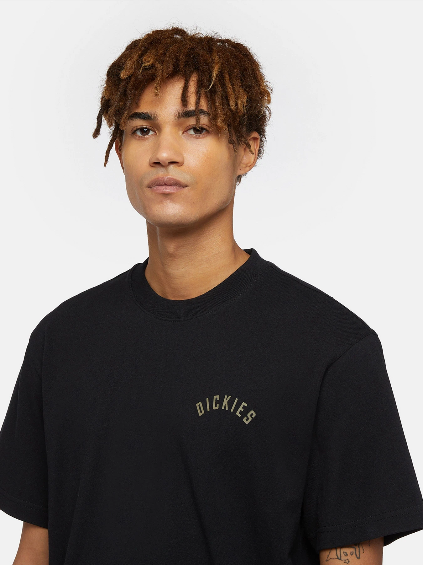 Футболки і поло Dickies Panther модель DK0A4Z4IBLK1 Футболки і поло Dickies Panther модель DK0A4Z4IBLK1 Фото