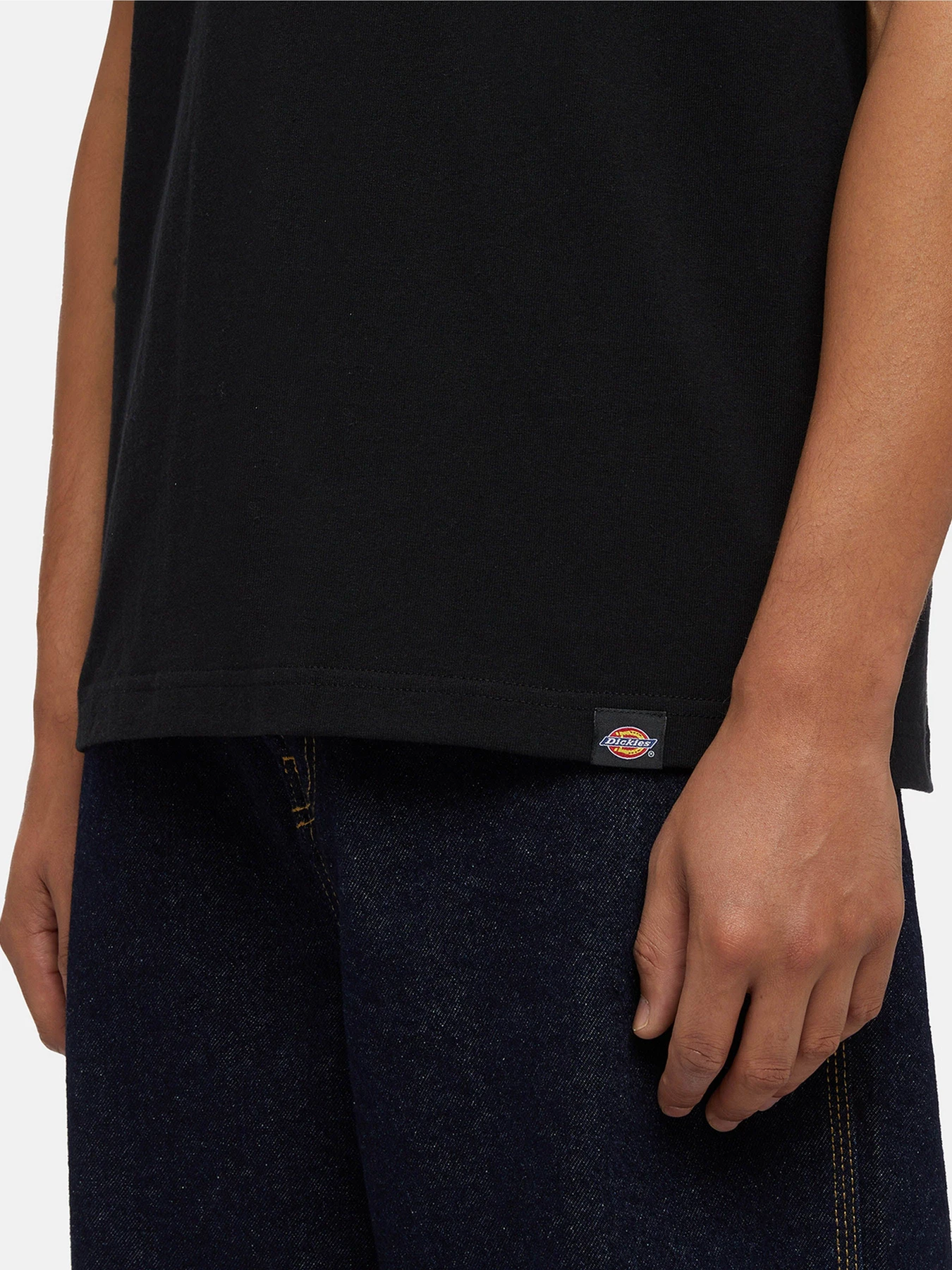 Футболки і поло Dickies Panther модель DK0A4Z4IBLK1 Футболки і поло Dickies Panther модель DK0A4Z4IBLK1 Фото