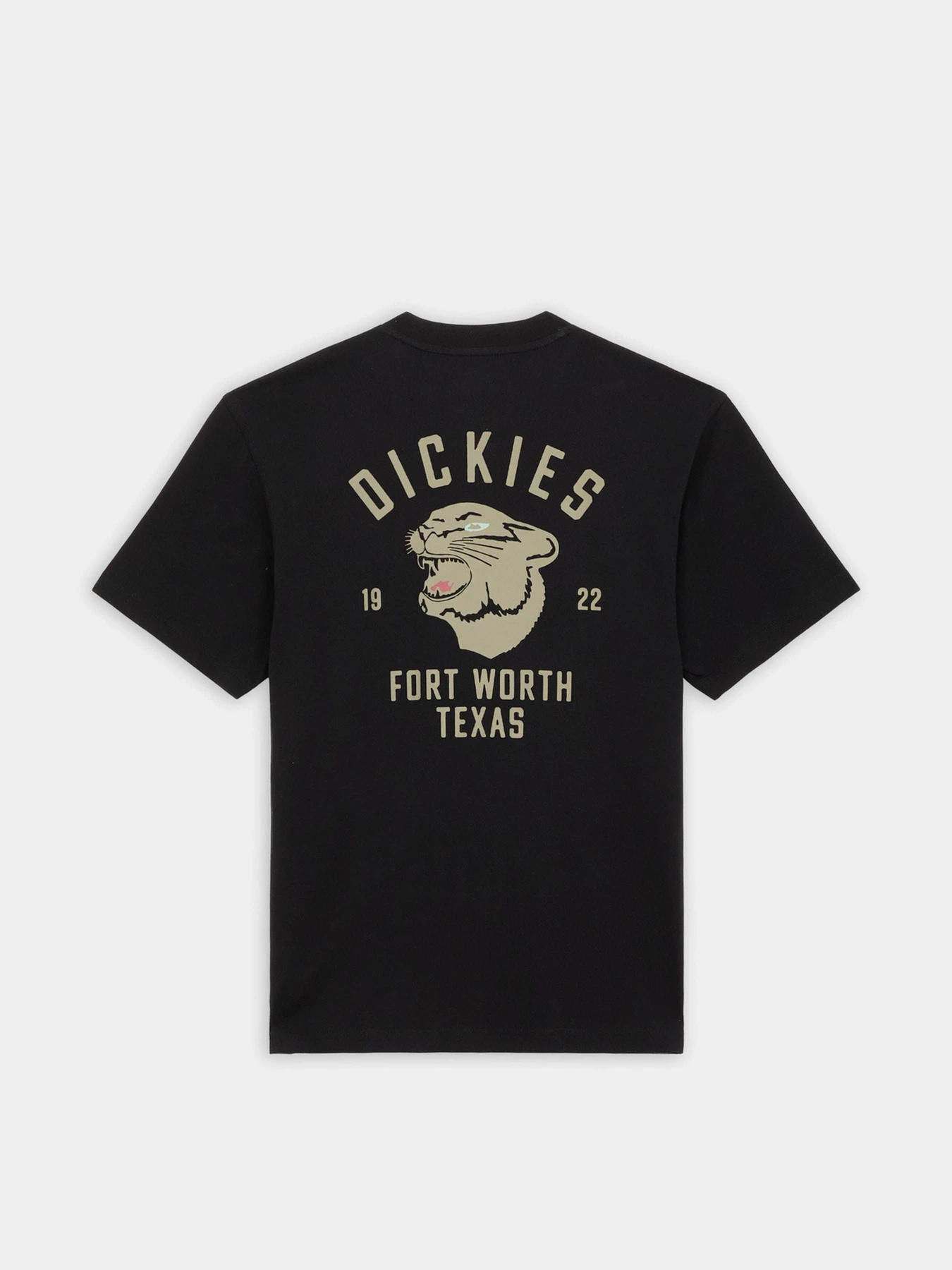 Футболки і поло Dickies Panther модель DK0A4Z4IBLK1 Футболки і поло Dickies Panther модель DK0A4Z4IBLK1 Фото